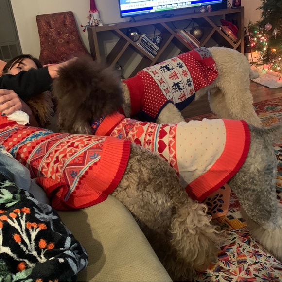 Charm Fair Isle Matching Family Sweater dog sweater - Picture 5 of 11